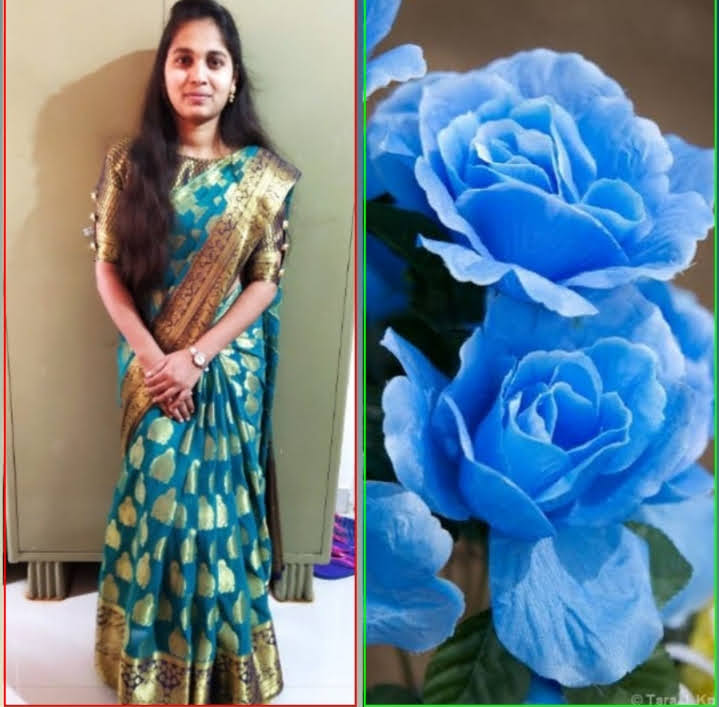 Real client experience shared in DN Interiors reviews